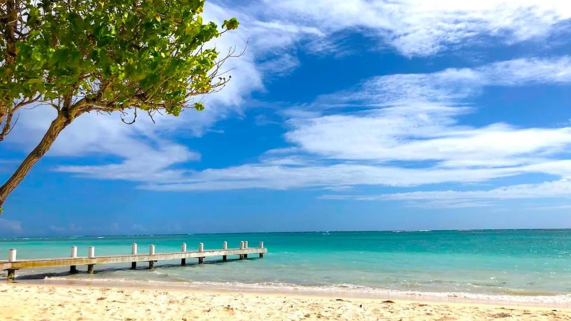 Villa Zoe Punta Cana